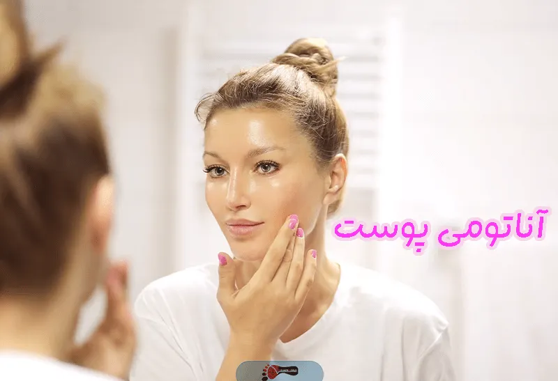 آناتومی پوست