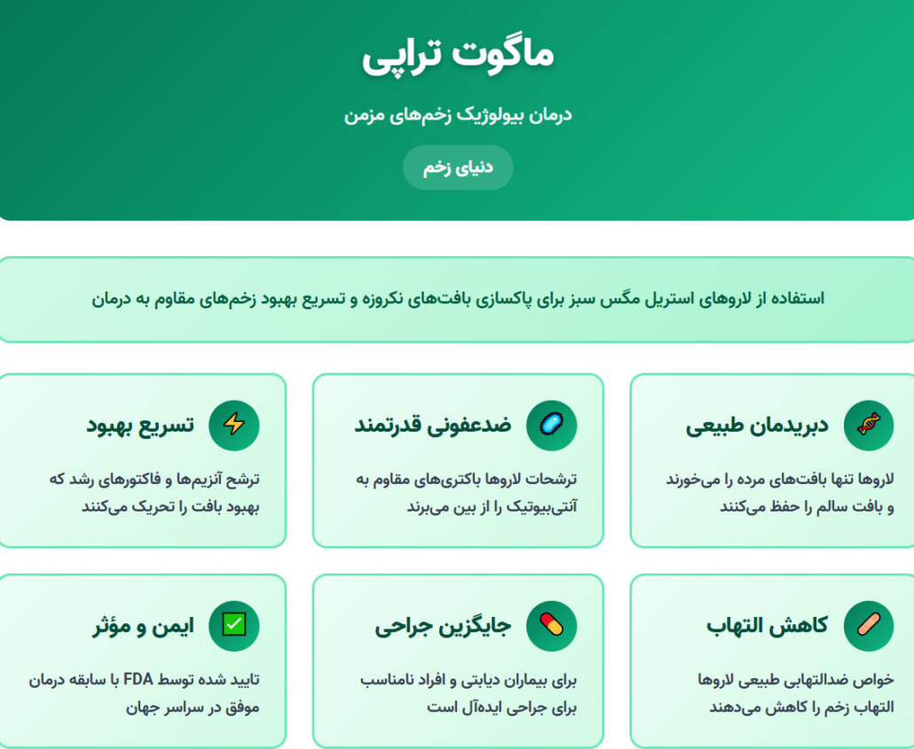  ماگوت‌تراپی 