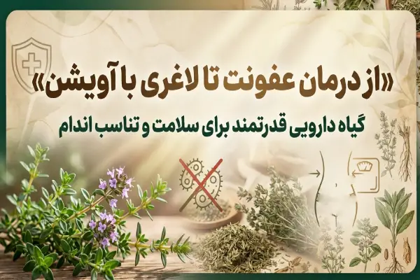آویشن