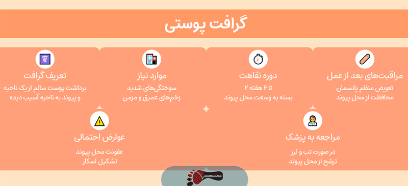 گرافت پوستی